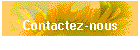 Contactez-nous
