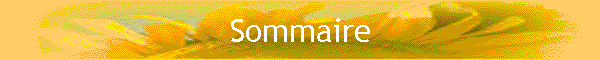 Sommaire