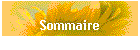 Sommaire
